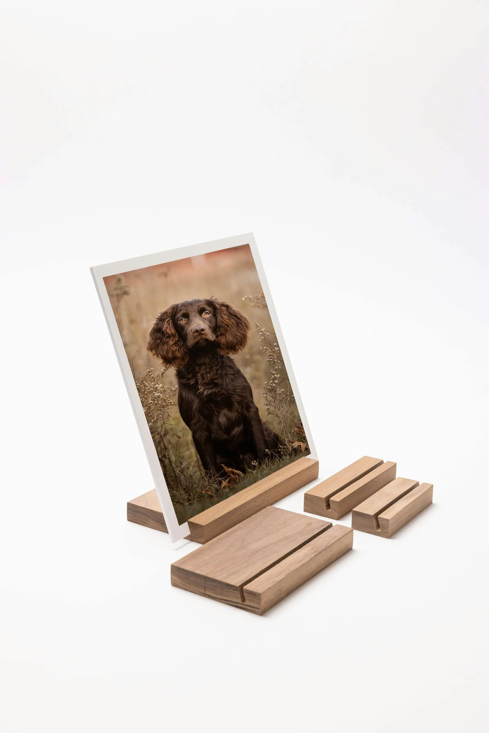 Fine Art Prints and Printed Products by J.Klein Photos — J.Klein